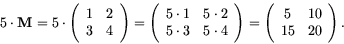 \begin{displaymath}
5 \cdot {\bf M} = 5 \cdot \left(
\begin{array}{cc}
1 & 2 \\ ...
...left( \begin{array}{cc}
5 & 10 \\
15 & 20
\end{array}\right).
\end{displaymath}